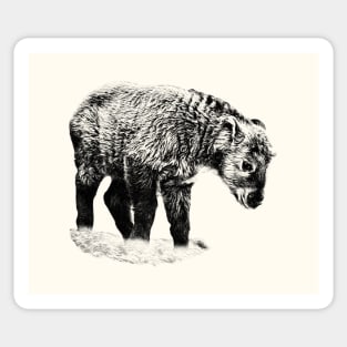 Baby takin Sticker